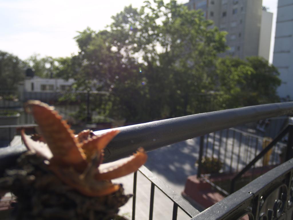 Una Noche Mas B & B Montevideo Ngoại thất bức ảnh